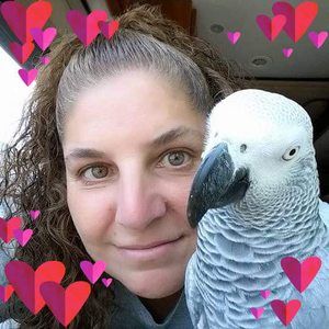 Meet your Posher, Georgette